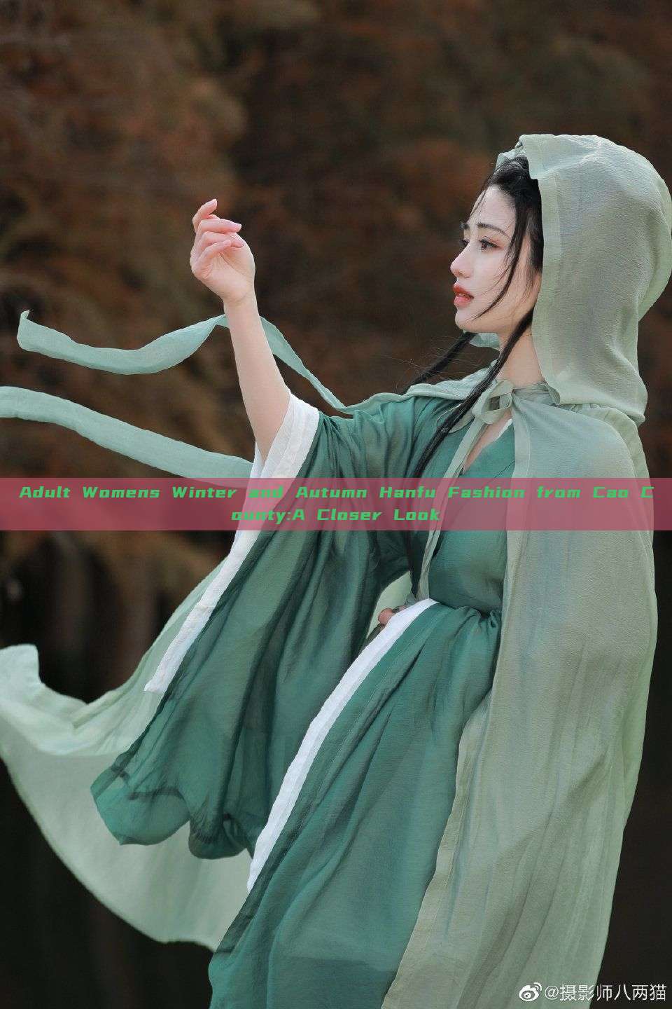 Adult Womens Winter and Autumn Hanfu Fashion from Cao County:A Closer Look Adult Womens Winter and Autumn Hanfu Fashion from Cao County:A Closer Look