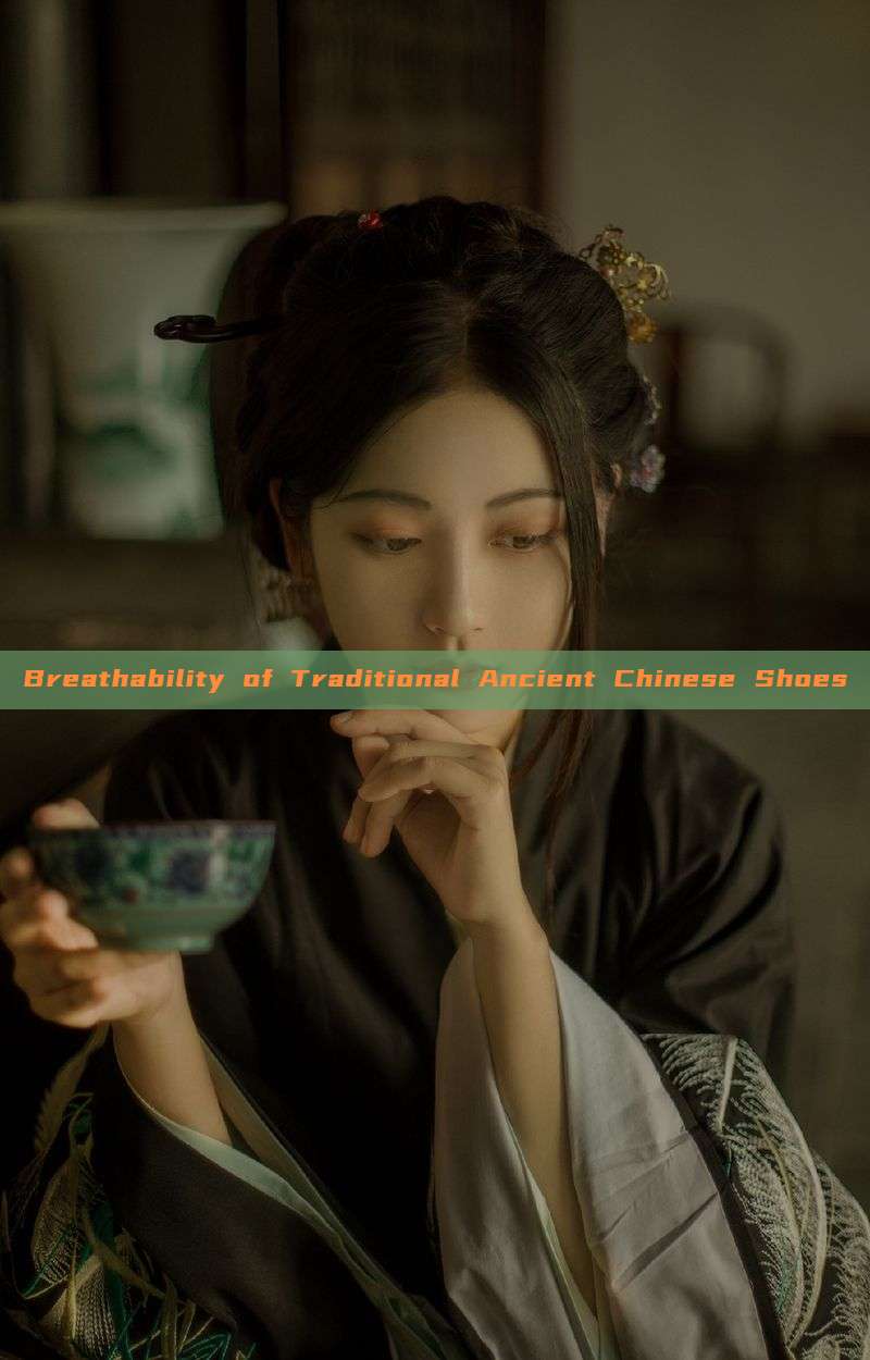 Breathability of Traditional Ancient Chinese Shoes