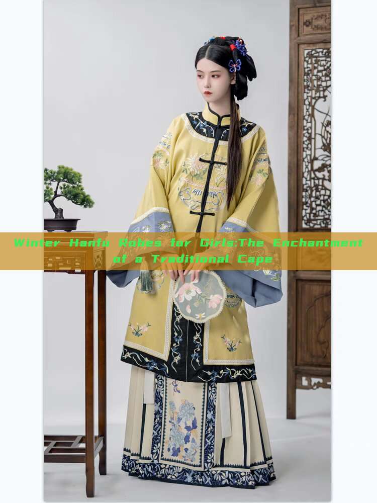 Winter Hanfu Robes for Girls:The Enchantment of a Traditional Cape