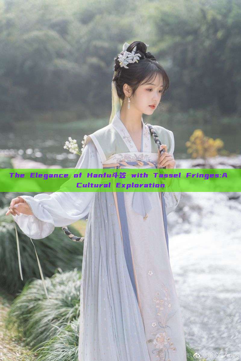 The Elegance of Hanfu斗笠 with Tassel Fringes:A Cultural Exploration