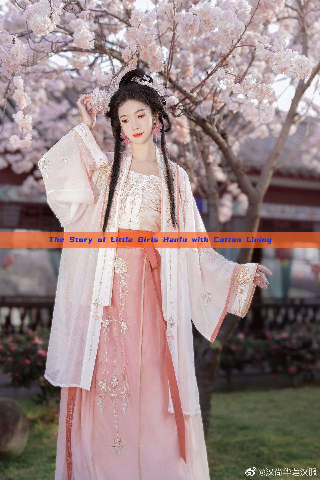 The Story of Little Girls Hanfu with Cotton Lining