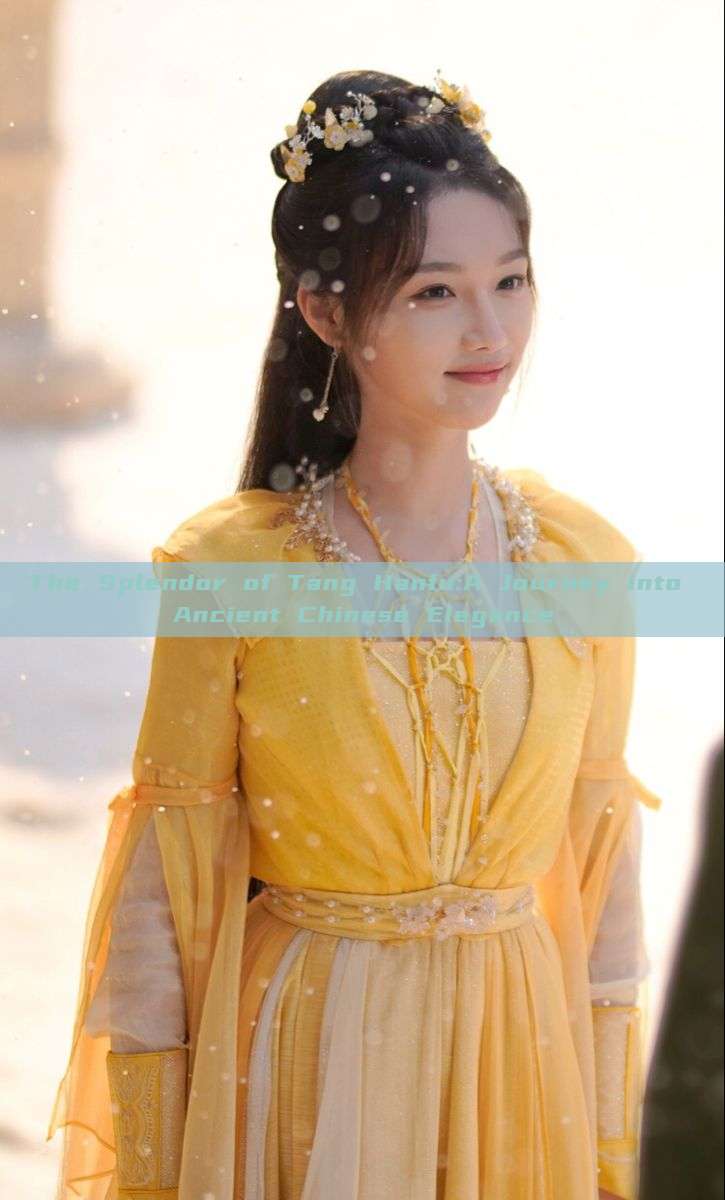 The Splendor of Tang Hanfu:A Journey into Ancient Chinese Elegance The Splendor of Tang Hanfu:A Journey into Ancient Chinese Elegance