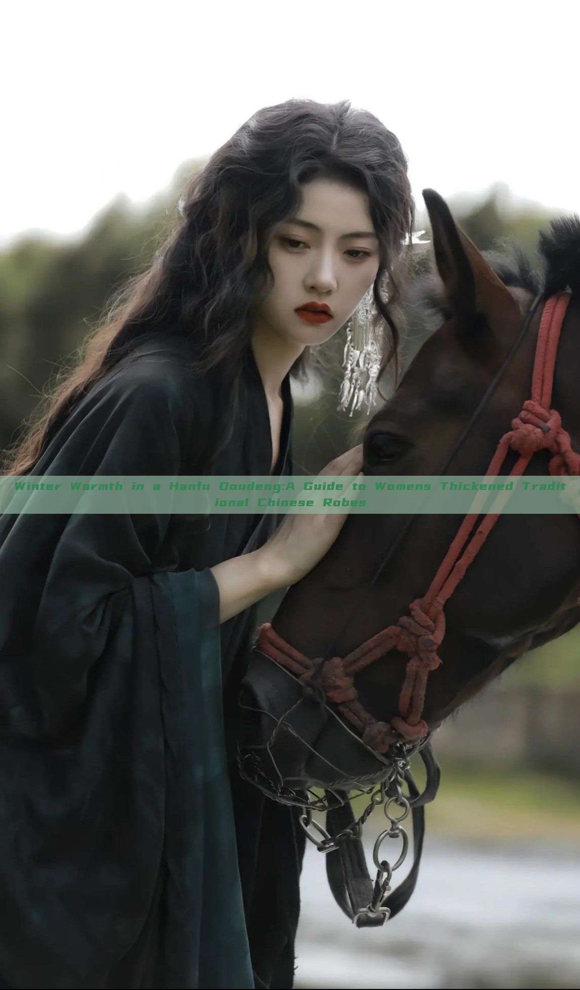 Winter Warmth in a Hanfu Doudeng:A Guide to Womens Thickened Traditional Chinese Robes