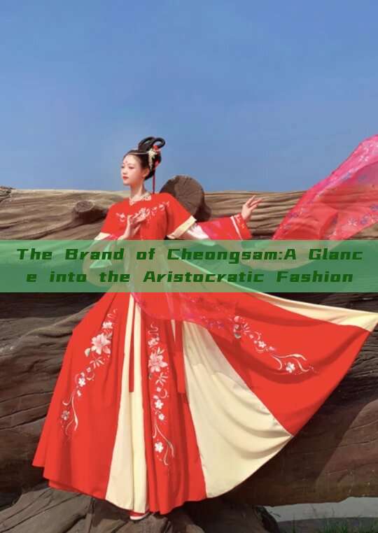 The Brand of Cheongsam:A Glance into the Aristocratic Fashion The Brand of Cheongsam:A Glance into the Aristocratic Fashion