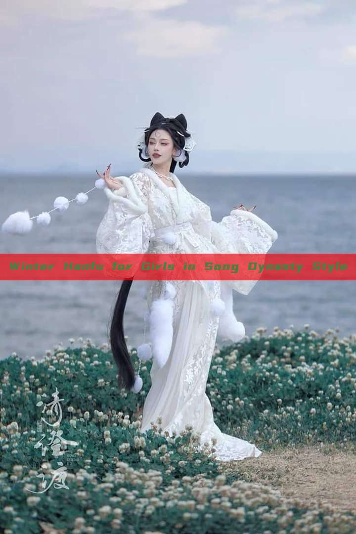 Winter Hanfu for Girls in Song Dynasty Style
