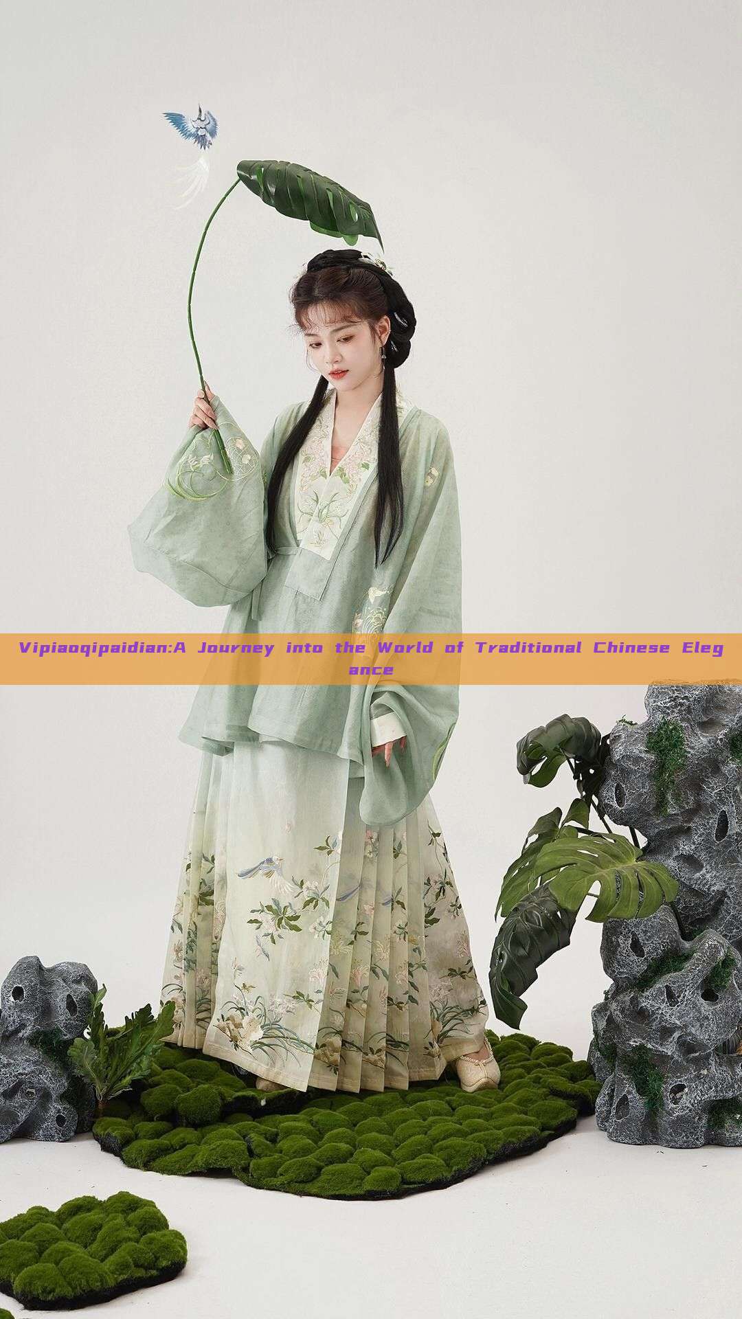 Vipiaoqipaidian:A Journey into the World of Traditional Chinese Elegance Vipiaoqipaidian:A Journey into the World of Traditional Chinese Elegance