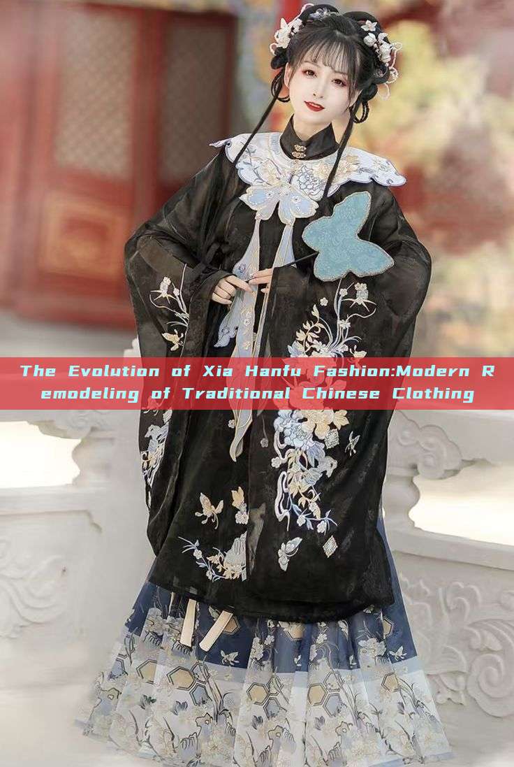 The Evolution of Xia Hanfu Fashion:Modern Remodeling of Traditional Chinese Clothing The Evolution of Xia Hanfu Fashion:Modern Remodeling of Traditional Chinese Clothing