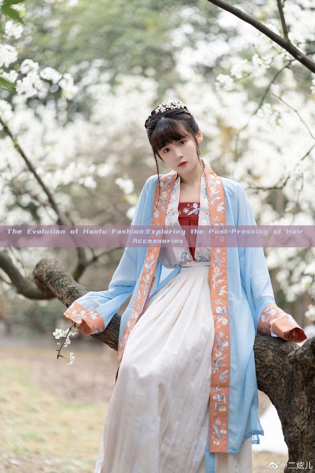 The Evolution of Hanfu Fashion:Exploring the Post-Pressing of Hair Accessories