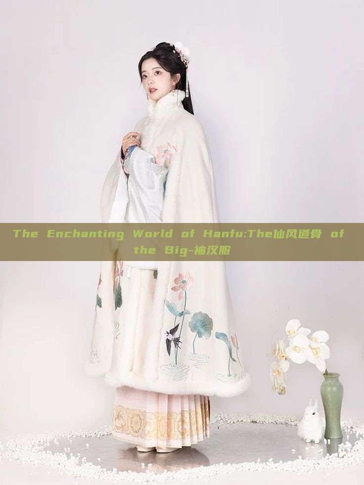 The Enchanting World of Hanfu:The仙风道骨 of the Big-袖汉服 The Enchanting World of Hanfu:The仙风道骨 of the Big-袖汉服