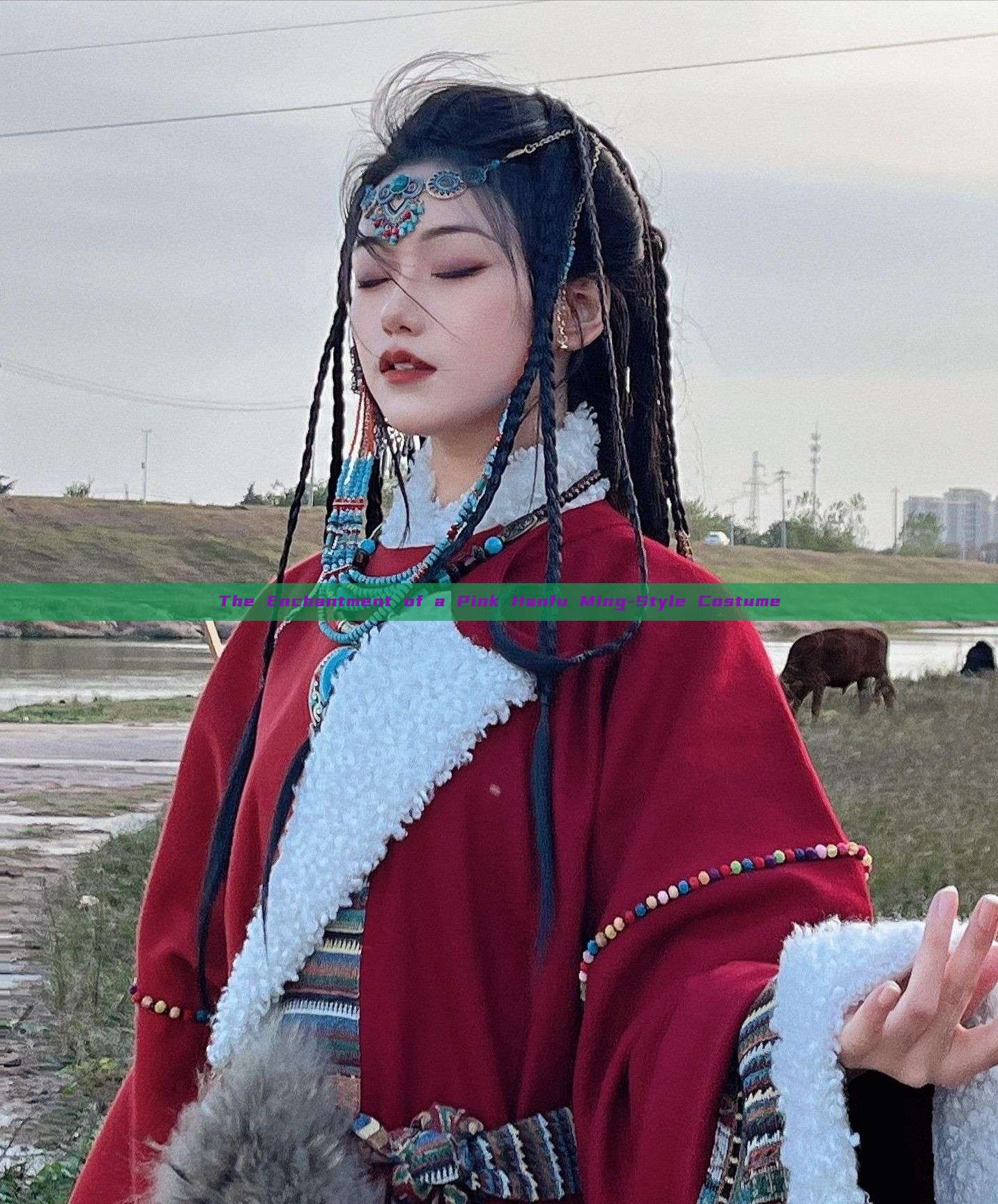 The Enchantment of a Pink Hanfu Ming-Style Costume The Enchantment of a Pink Hanfu Ming-Style Costume