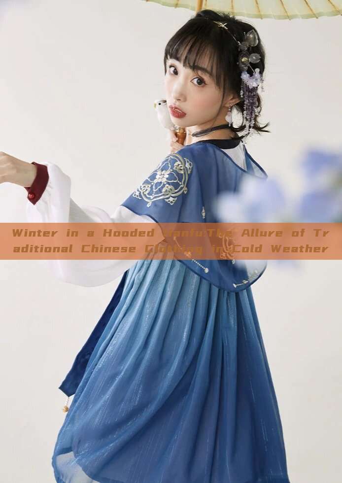 Winter in a Hooded Hanfu:The Allure of Traditional Chinese Clothing in Cold Weather Winter in a Hooded Hanfu:The Allure of Traditional Chinese Clothing in Cold Weather