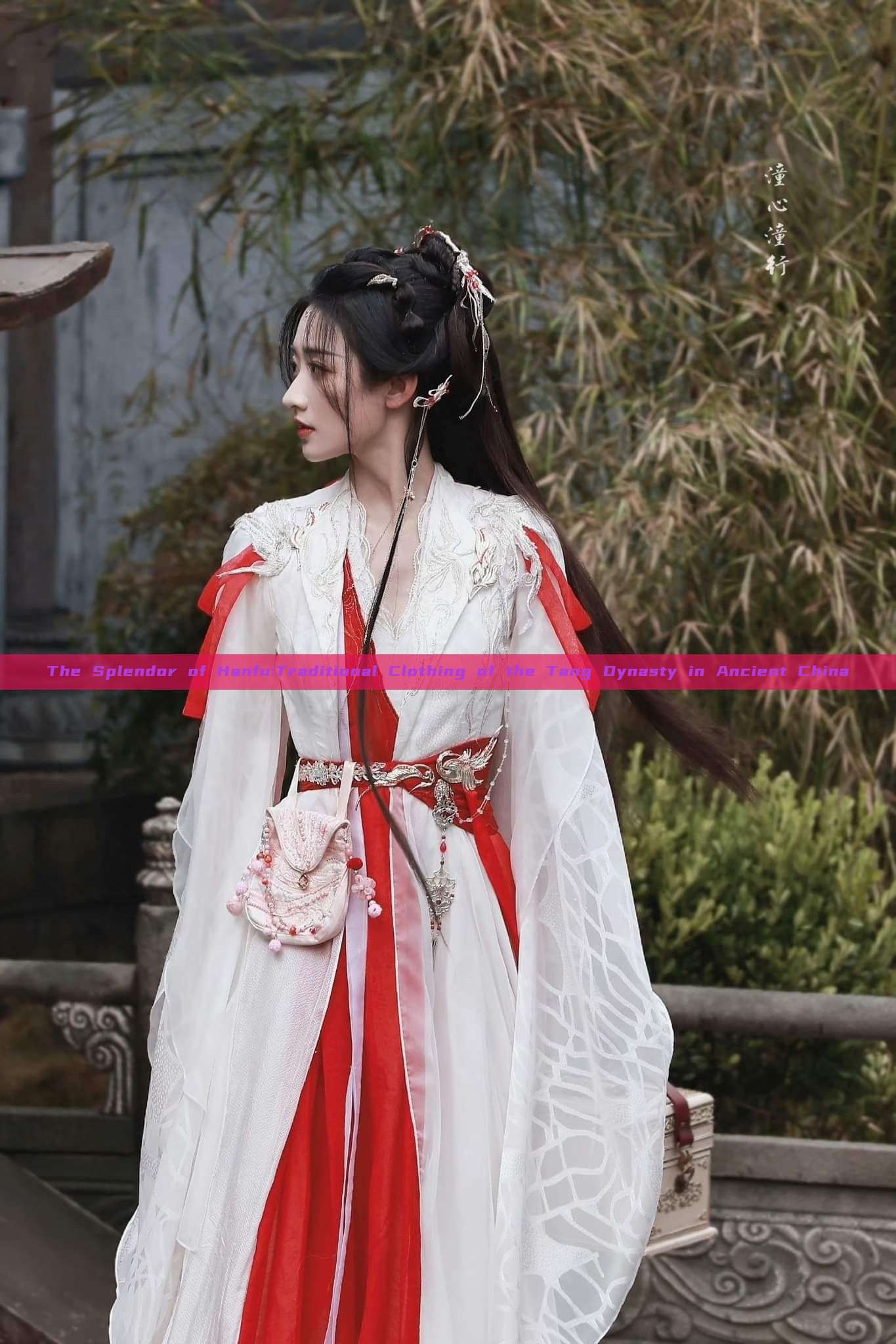 The Splendor of Hanfu:Traditional Clothing of the Tang Dynasty in Ancient China