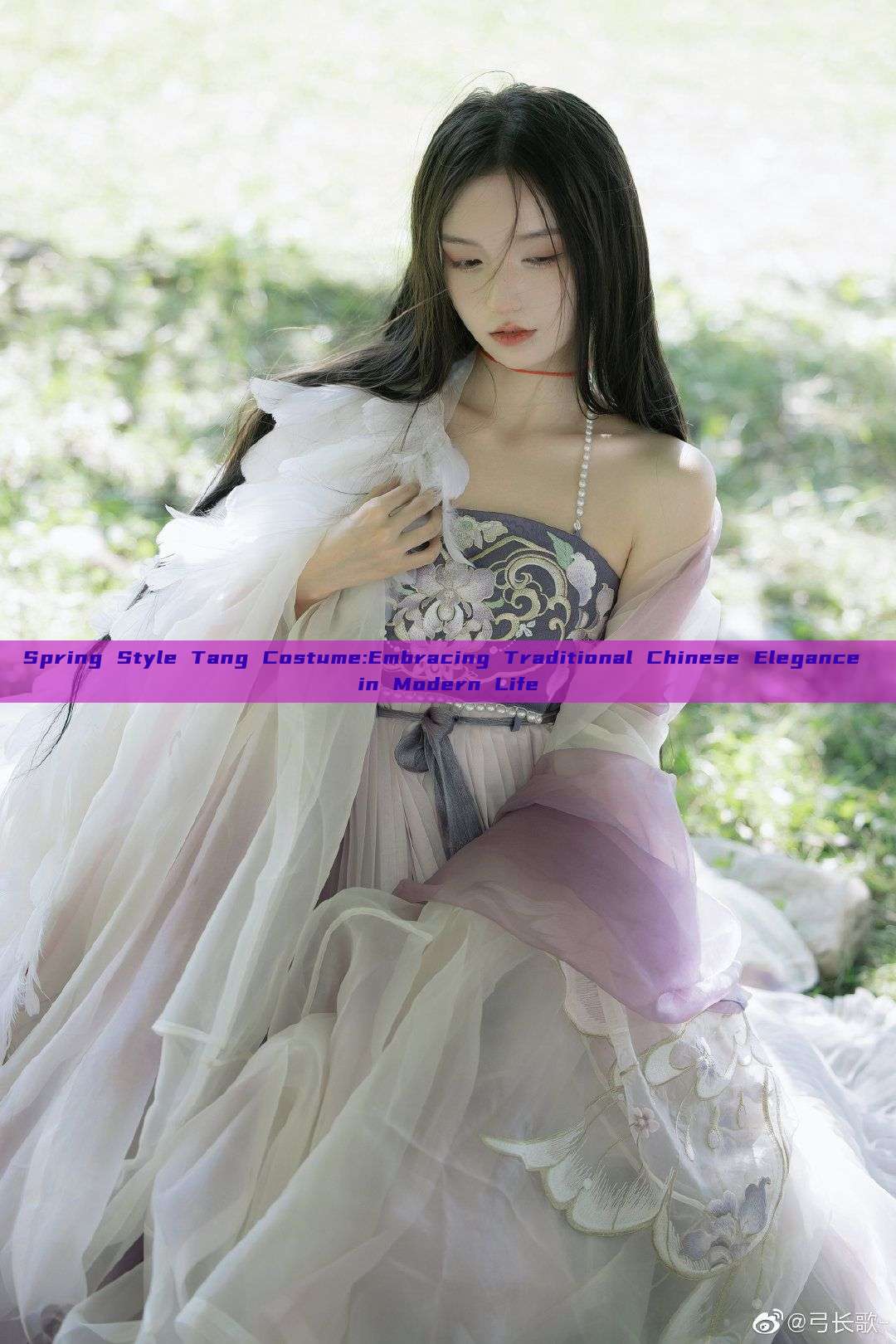 Spring Style Tang Costume:Embracing Traditional Chinese Elegance in Modern Life Spring Style Tang Costume:Embracing Traditional Chinese Elegance in Modern Life