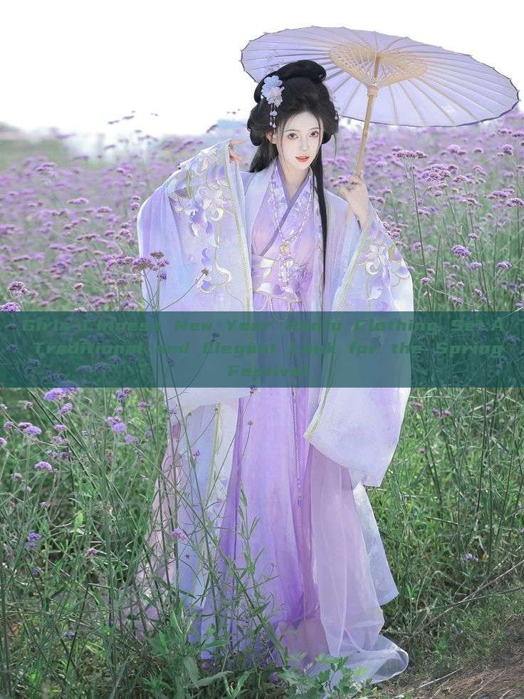 Girls Chinese New Year Hanfu Clothing Set:A Traditional and Elegant Look for the Spring Festival