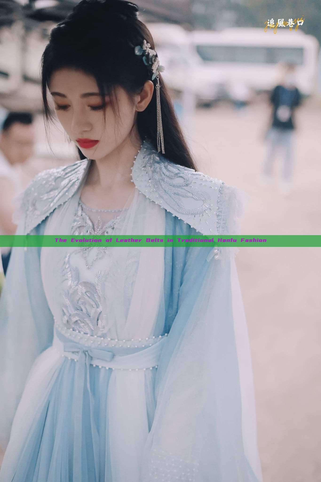 The Evolution of Leather Belts in Traditional Hanfu Fashion The Evolution of Leather Belts in Traditional Hanfu Fashion