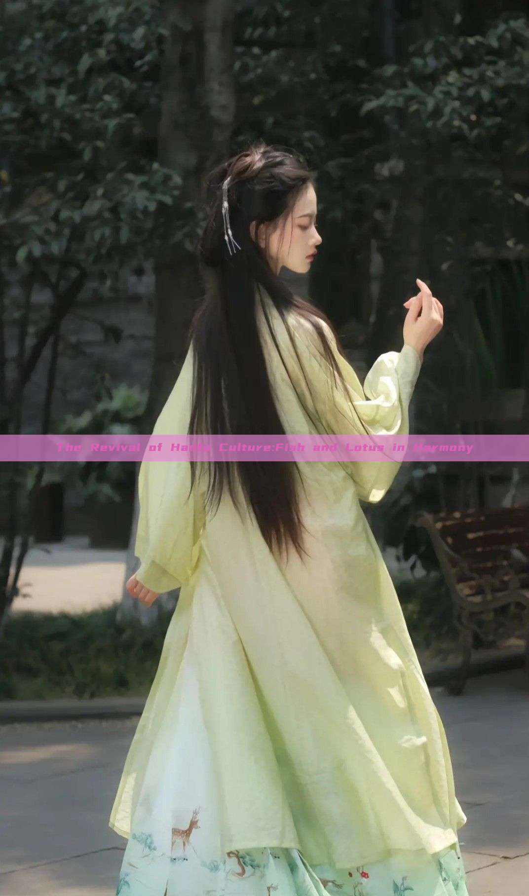 The Revival of Hanfu Culture:Fish and Lotus in Harmony