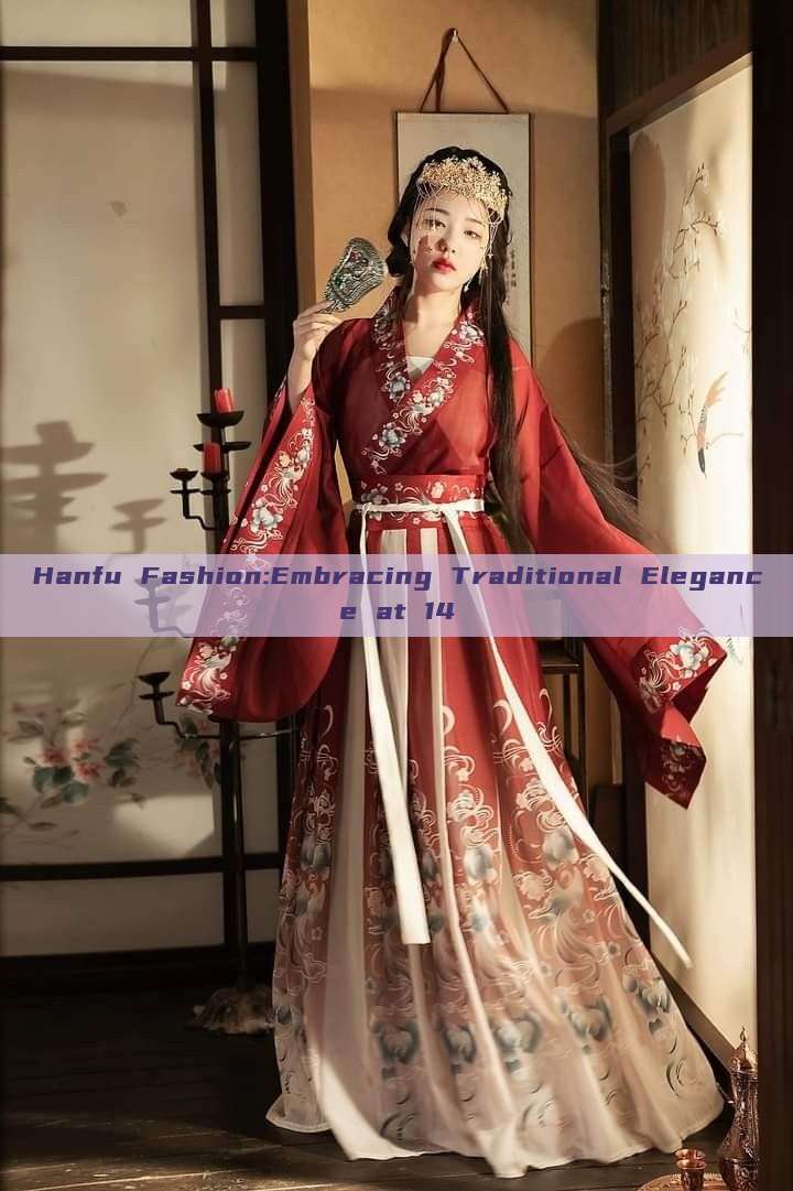 Hanfu Fashion:Embracing Traditional Elegance at 14