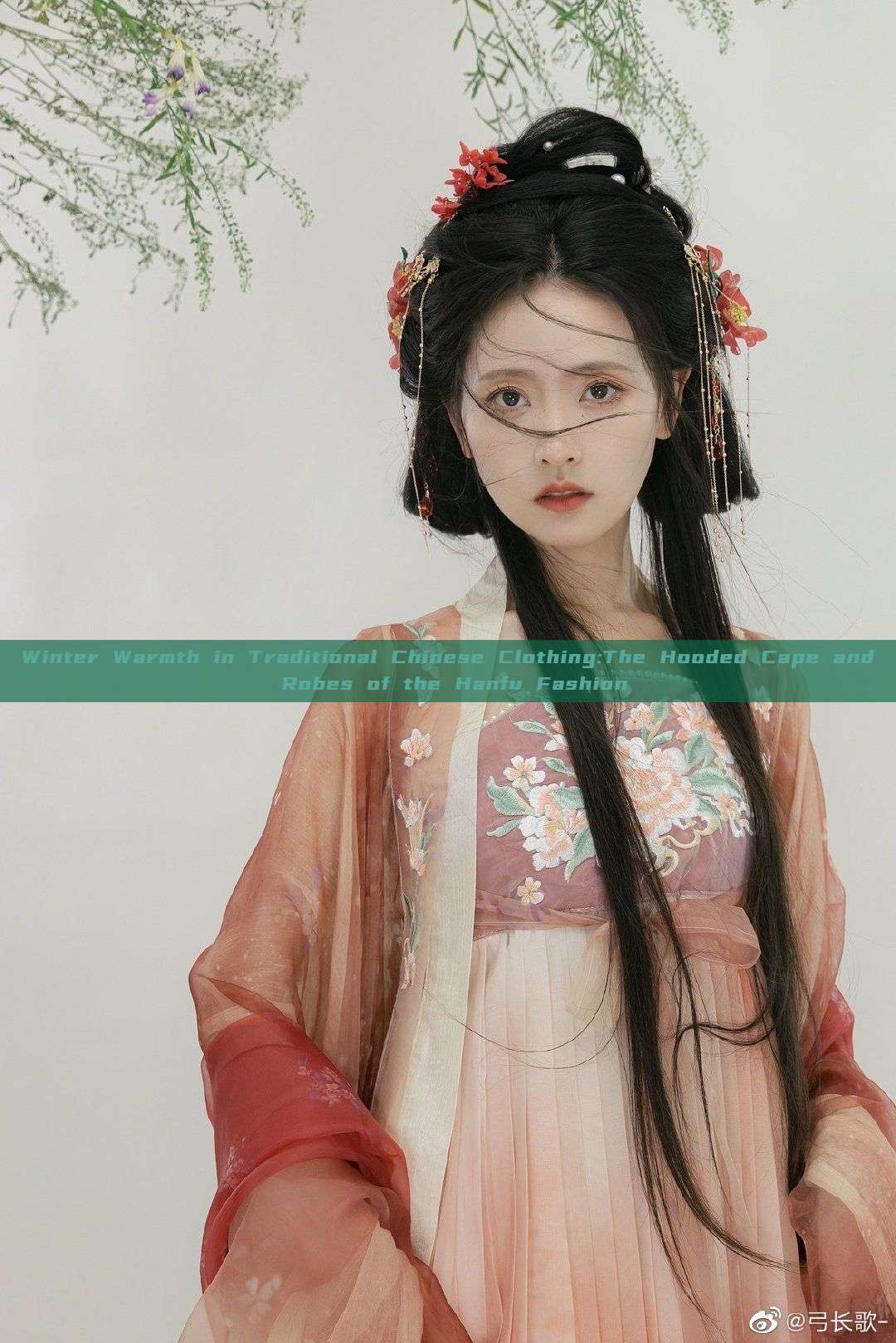 Winter Warmth in Traditional Chinese Clothing:The Hooded Cape and Robes of the Hanfu Fashion