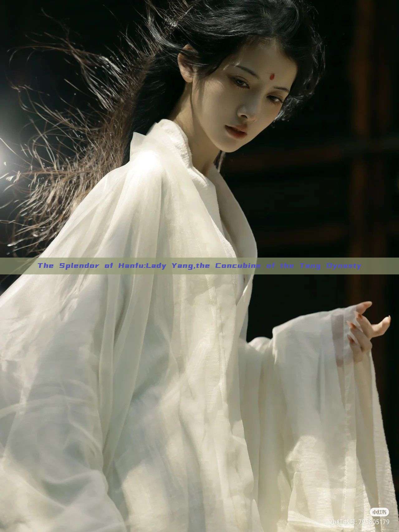 The Splendor of Hanfu:Lady Yang,the Concubine of the Tang Dynasty