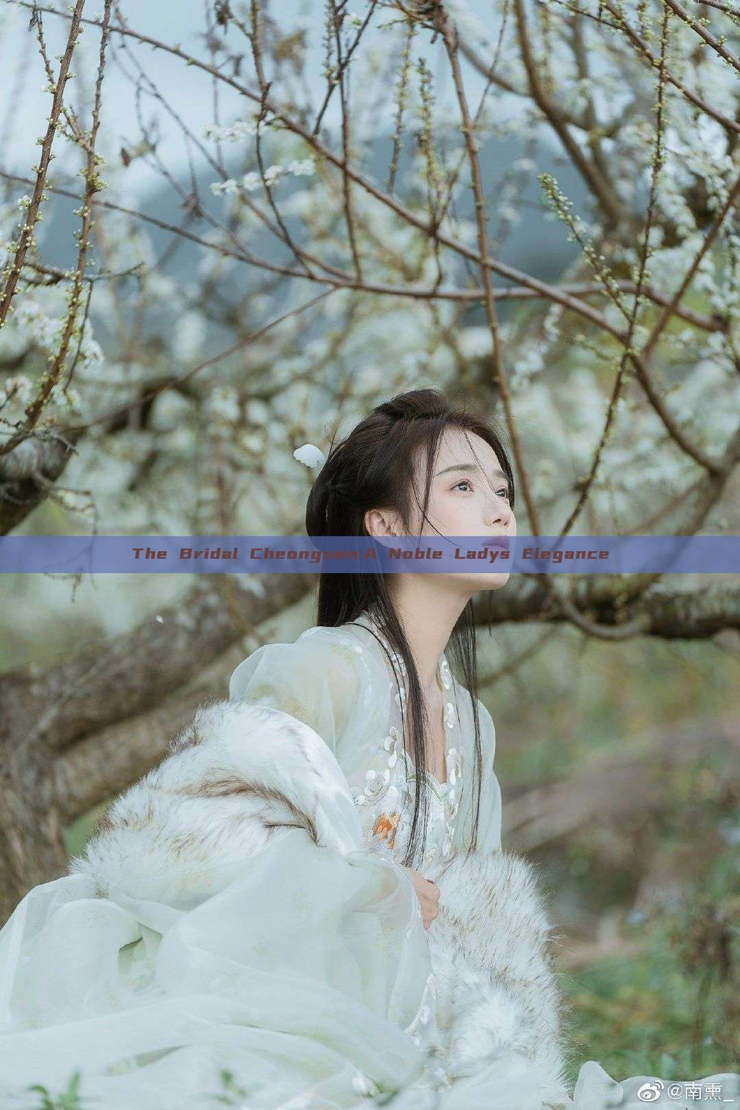 The Bridal Cheongsam:A Noble Ladys Elegance The Bridal Cheongsam:A Noble Ladys Elegance