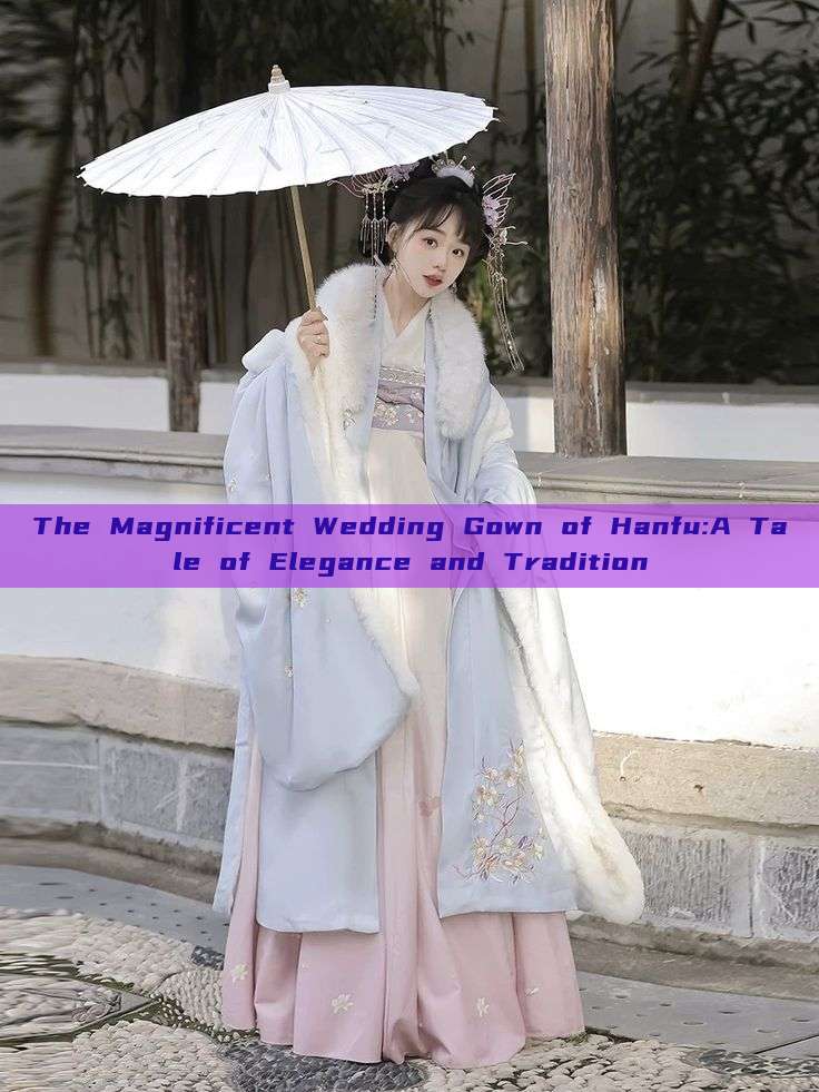 The Magnificent Wedding Gown of Hanfu:A Tale of Elegance and Tradition The Magnificent Wedding Gown of Hanfu:A Tale of Elegance and Tradition