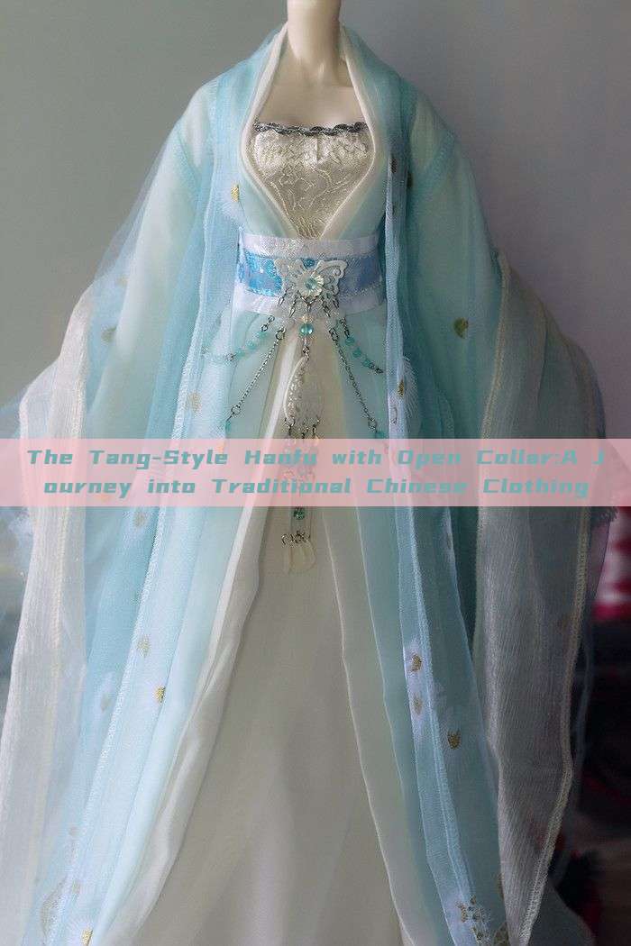 The Tang-Style Hanfu with Open Collar:A Journey into Traditional Chinese Clothing The Tang-Style Hanfu with Open Collar:A Journey into Traditional Chinese Clothing
