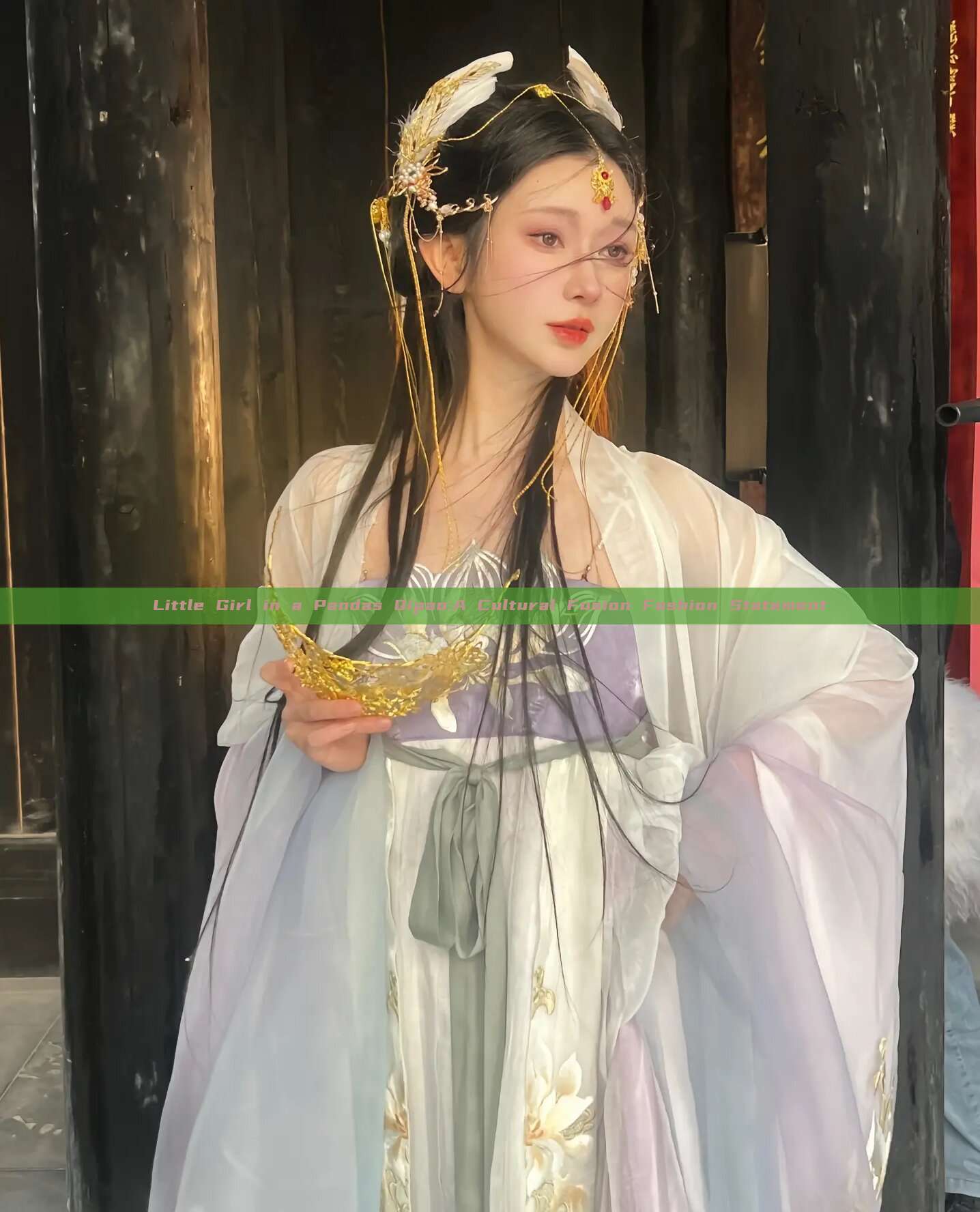 Little Girl in a Pandas Qipao:A Cultural Fusion Fashion Statement Little Girl in a Pandas Qipao:A Cultural Fusion Fashion Statement