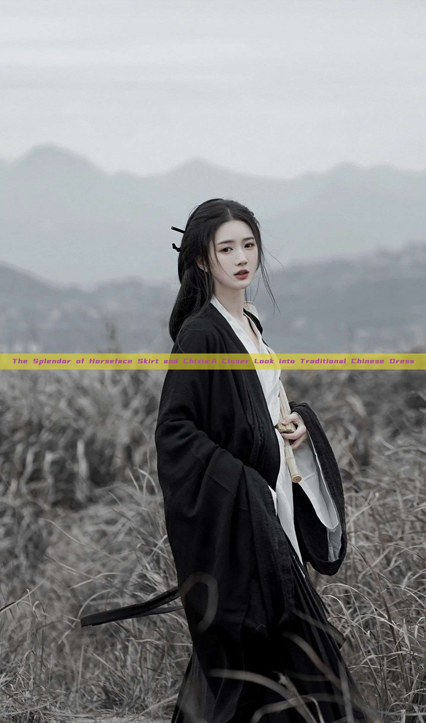 The Splendor of Horseface Skirt and Chixia:A Closer Look into Traditional Chinese Dress The Splendor of Horseface Skirt and Chixia:A Closer Look into Traditional Chinese Dress