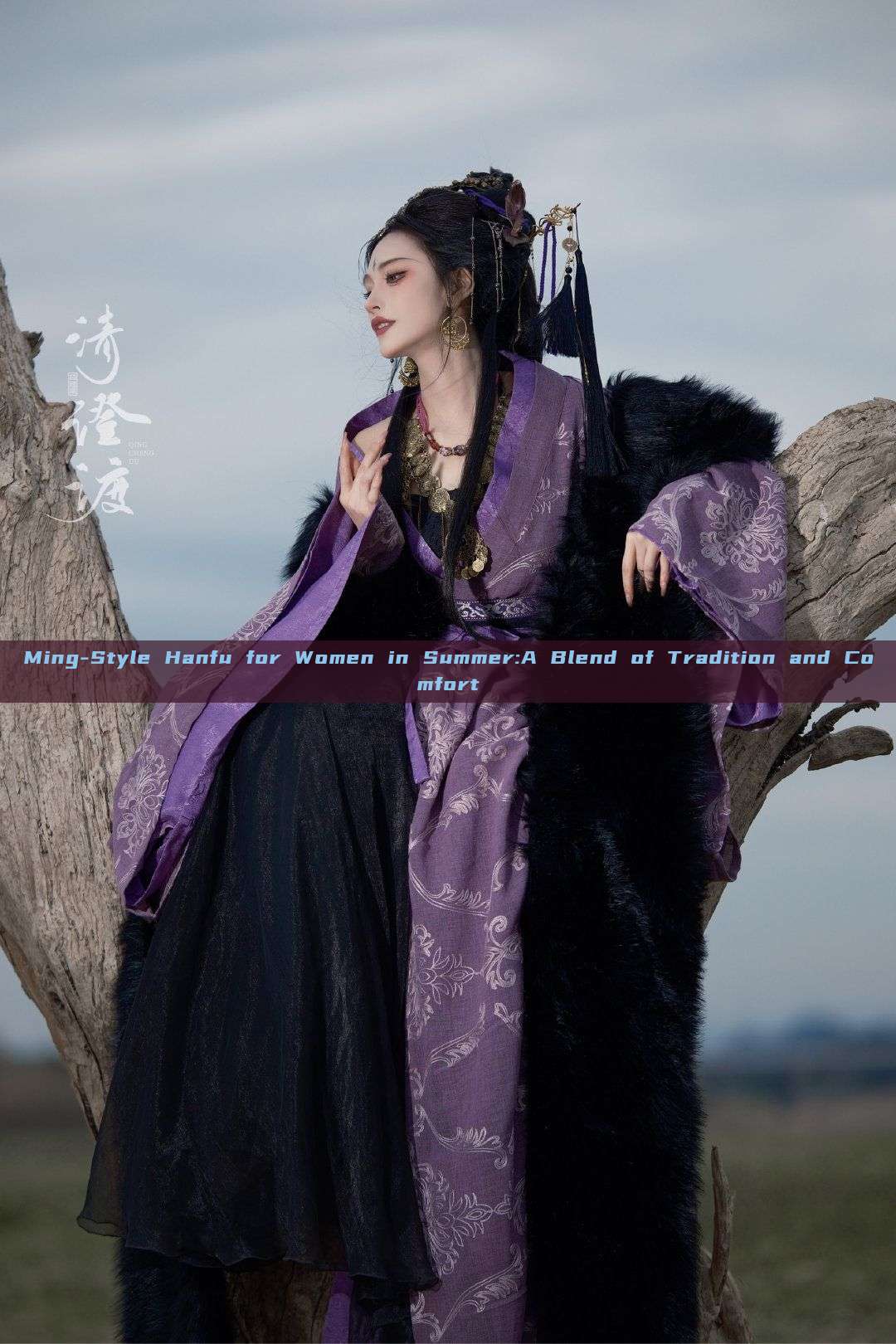 Ming-Style Hanfu for Women in Summer:A Blend of Tradition and Comfort Ming-Style Hanfu for Women in Summer:A Blend of Tradition and Comfort