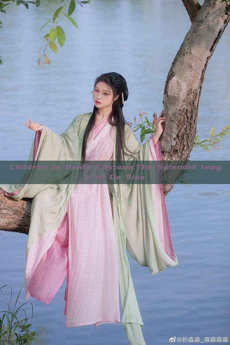Children in Hanfu Costume:The Splendid Image of Da Qiao Children in Hanfu Costume:The Splendid Image of Da Qiao