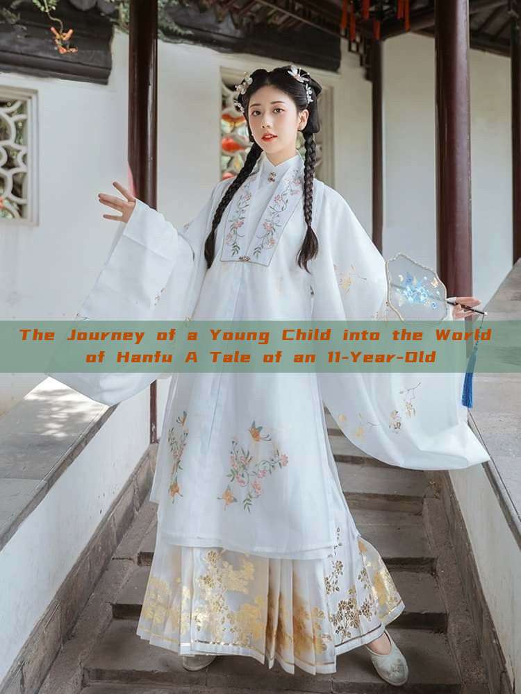 The Journey of a Young Child into the World of Hanfu A Tale of an 11-Year-Old