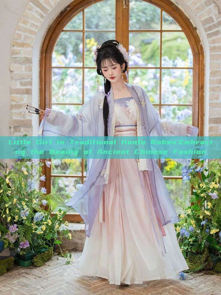 Little Girl in Traditional Hanfu Robes:Embracing the Beauty of Ancient Chinese Fashion Little Girl in Traditional Hanfu Robes:Embracing the Beauty of Ancient Chinese Fashion