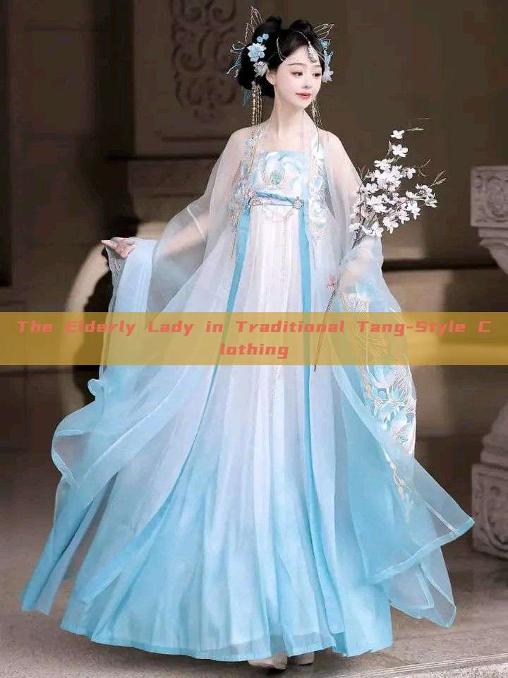 The Elderly Lady in Traditional Tang-Style Clothing The Elderly Lady in Traditional Tang-Style Clothing