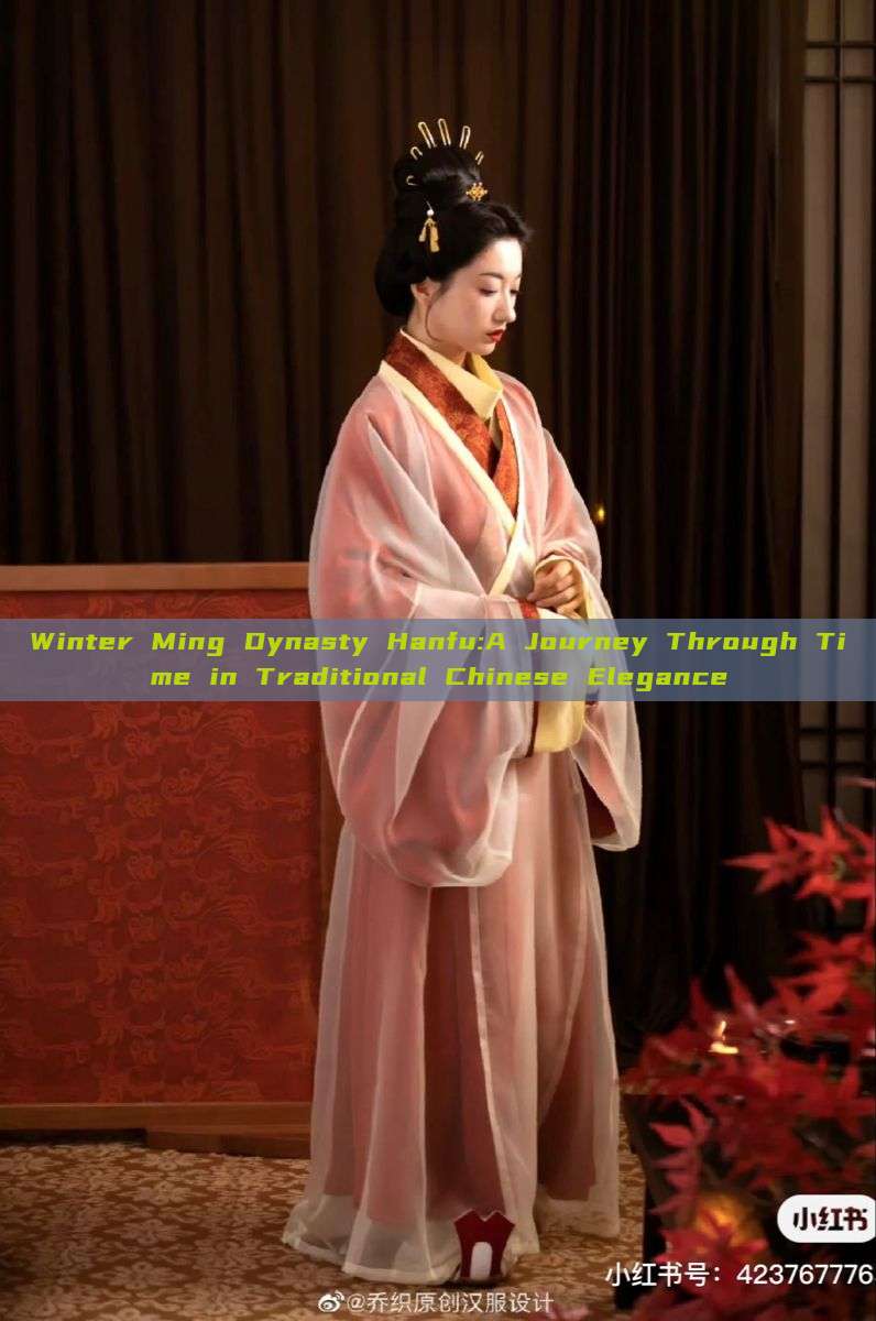 Winter Ming Dynasty Hanfu:A Journey Through Time in Traditional Chinese Elegance Winter Ming Dynasty Hanfu:A Journey Through Time in Traditional Chinese Elegance
