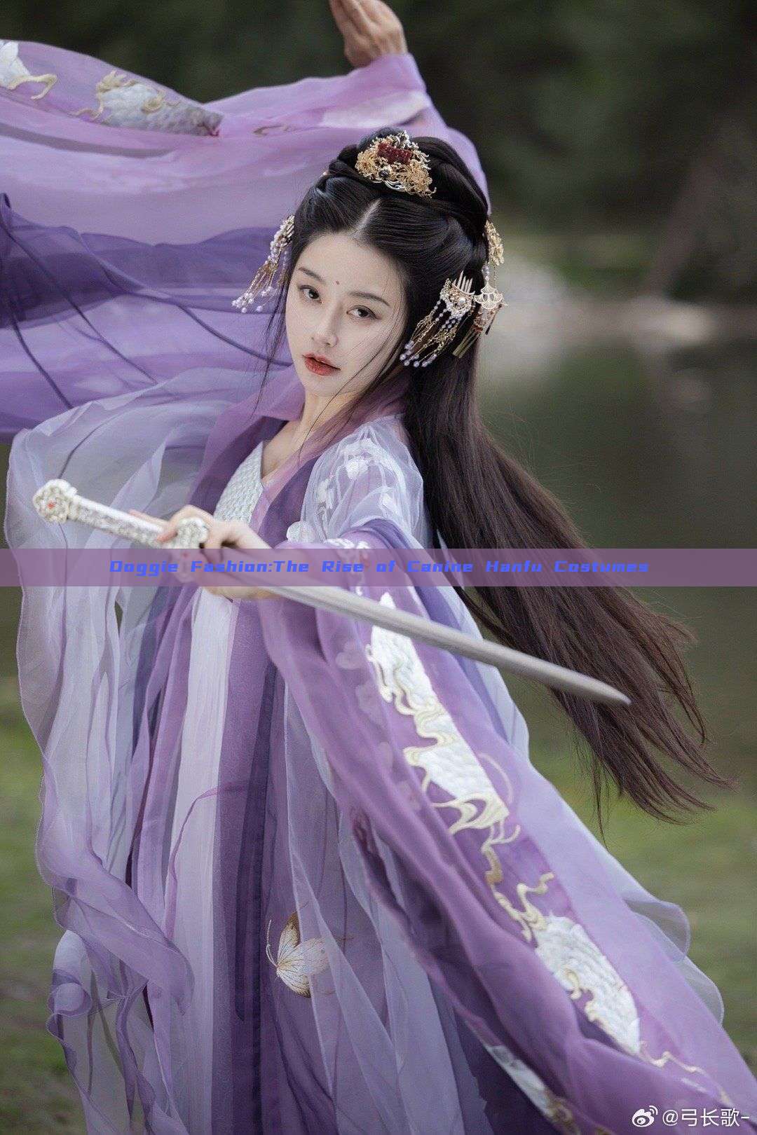 Doggie Fashion:The Rise of Canine Hanfu Costumes Doggie Fashion:The Rise of Canine Hanfu Costumes