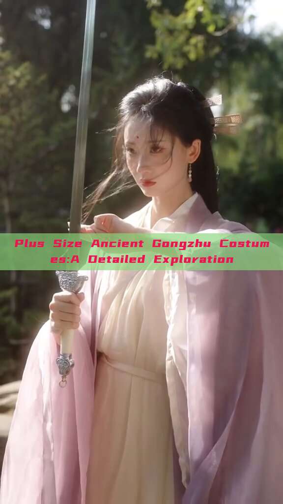 Plus Size Ancient Gongzhu Costumes:A Detailed Exploration Plus Size Ancient Gongzhu Costumes:A Detailed Exploration