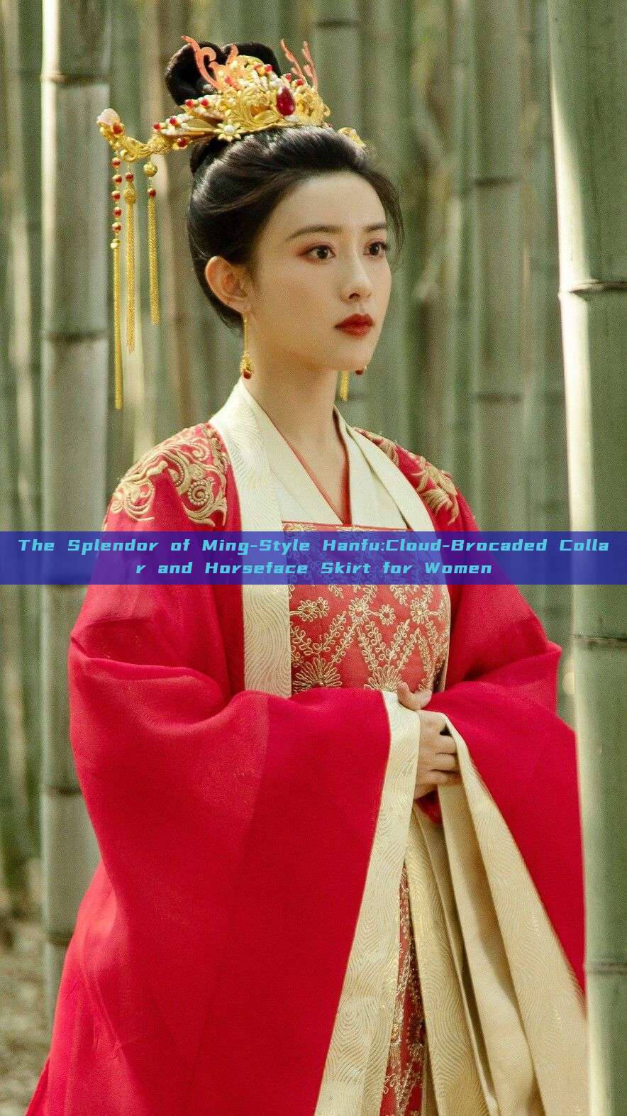 The Splendor of Ming-Style Hanfu:Cloud-Brocaded Collar and Horseface Skirt for Women The Splendor of Ming-Style Hanfu:Cloud-Brocaded Collar and Horseface Skirt for Women