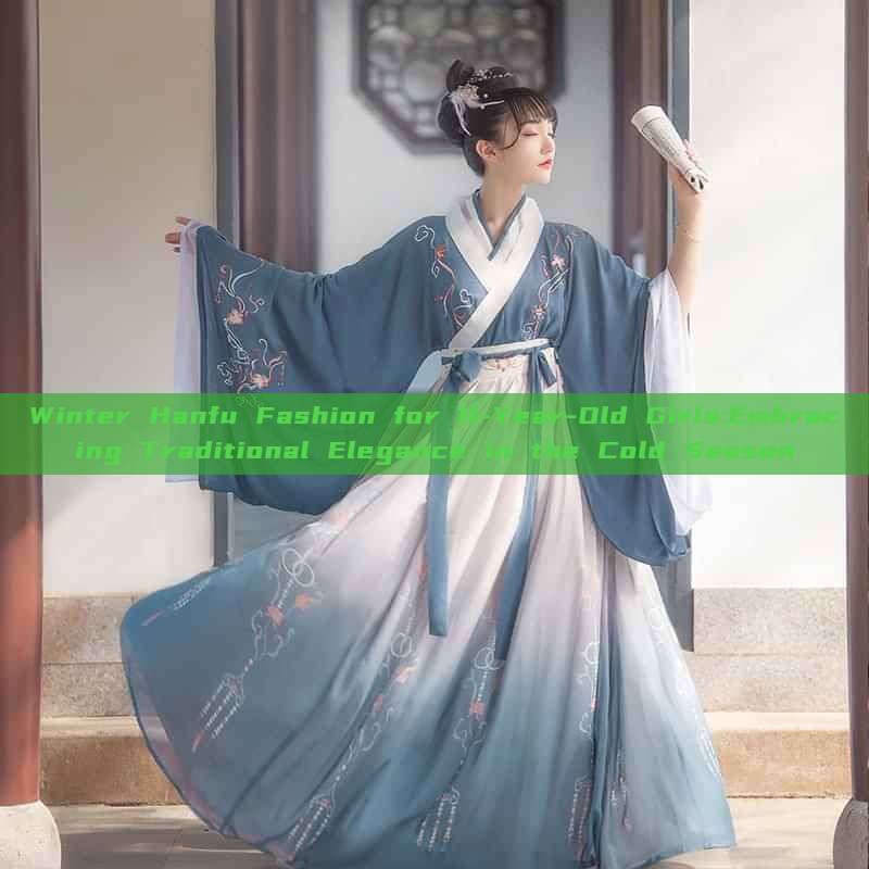 Winter Hanfu Fashion for 11-Year-Old Girls:Embracing Traditional Elegance in the Cold Season Winter Hanfu Fashion for 11-Year-Old Girls:Embracing Traditional Elegance in the Cold Season