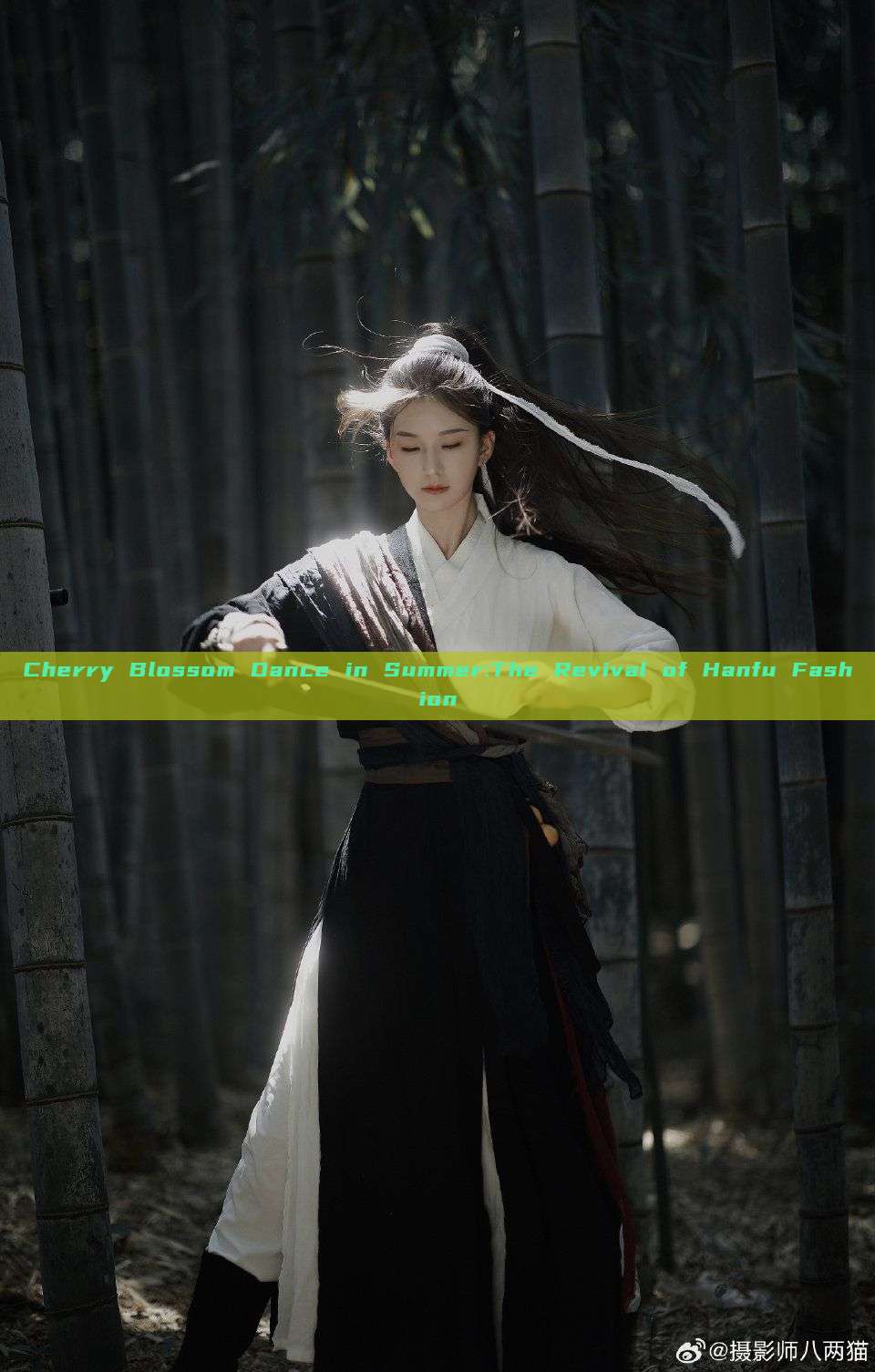 Cherry Blossom Dance in Summer:The Revival of Hanfu Fashion Cherry Blossom Dance in Summer:The Revival of Hanfu Fashion