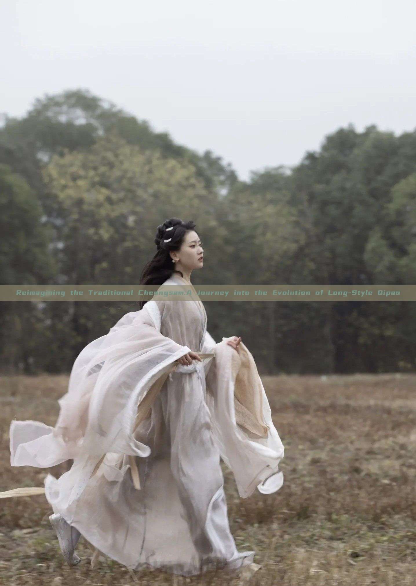 Reimagining the Traditional Cheongsam:A Journey into the Evolution of Long-Style Qipao Reimagining the Traditional Cheongsam:A Journey into the Evolution of Long-Style Qipao