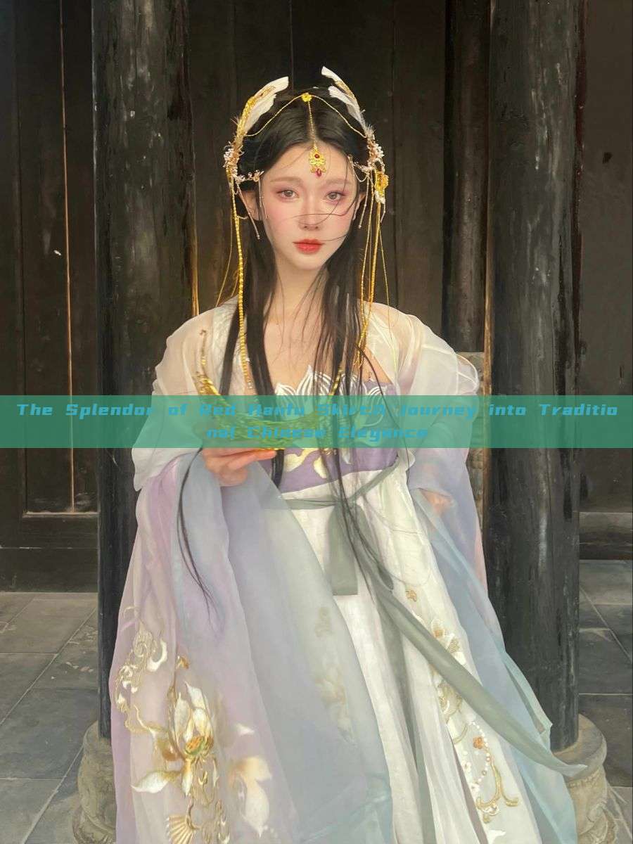 The Splendor of Red Hanfu Skirt:A Journey into Traditional Chinese Elegance The Splendor of Red Hanfu Skirt:A Journey into Traditional Chinese Elegance