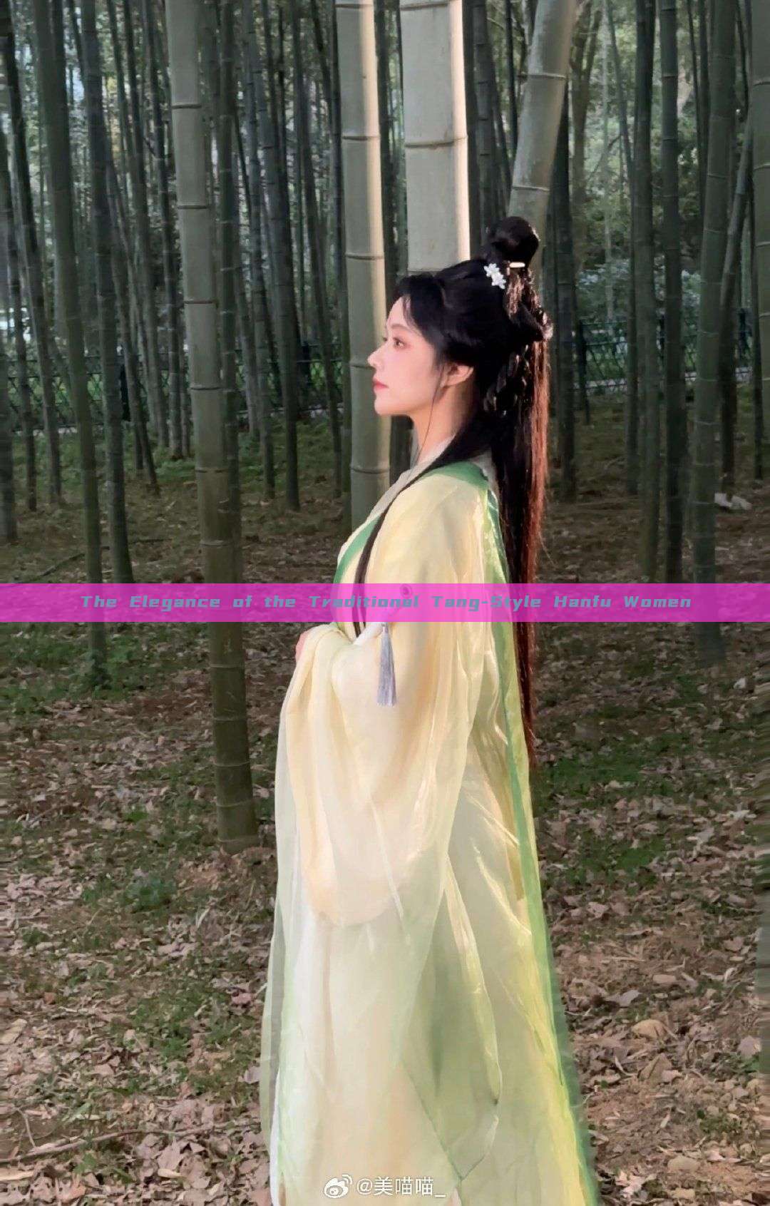 The Elegance of the Traditional Tang-Style Hanfu Women The Elegance of the Traditional Tang-Style Hanfu Women