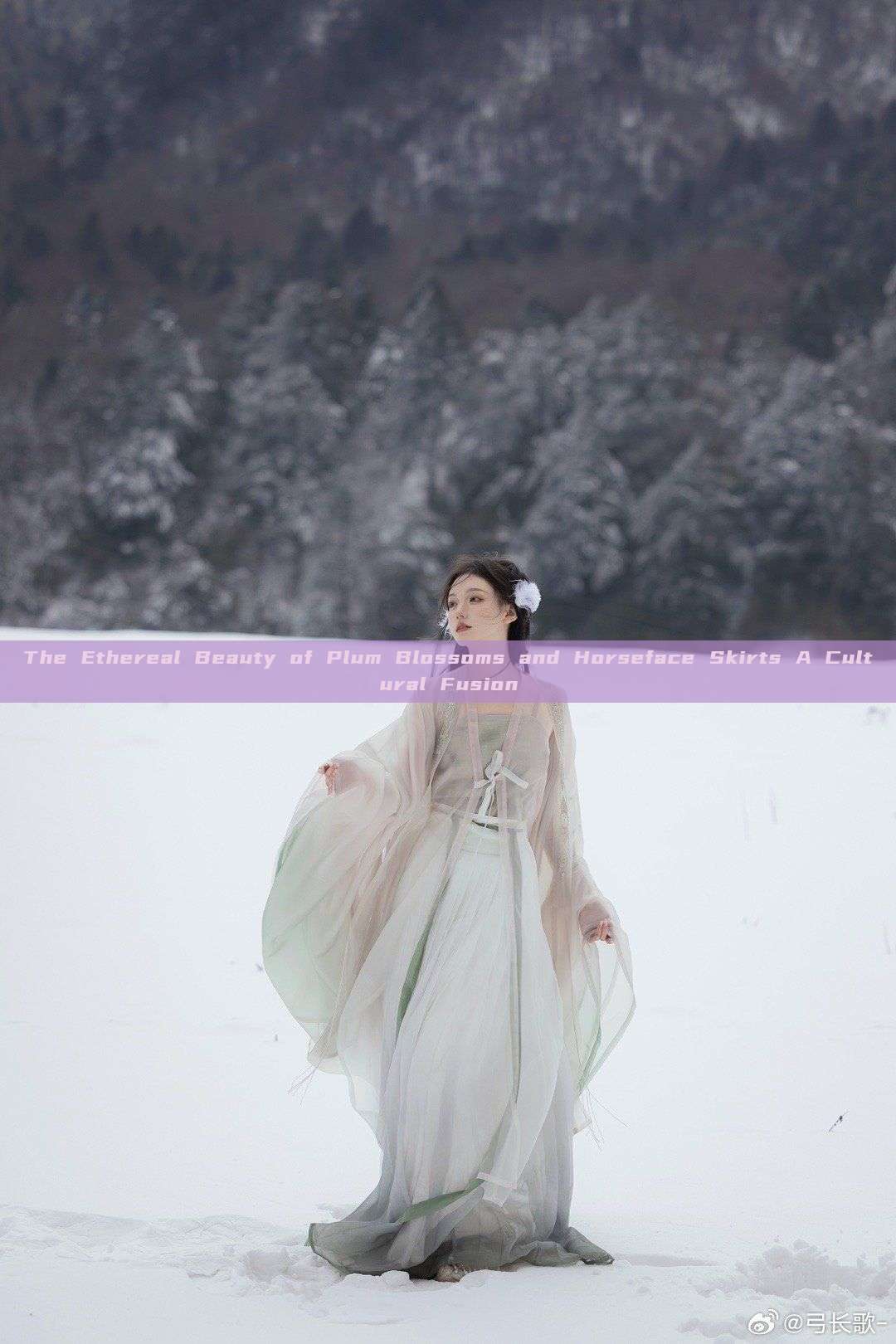 The Ethereal Beauty of Plum Blossoms and Horseface Skirts A Cultural Fusion The Ethereal Beauty of Plum Blossoms and Horseface Skirts A Cultural Fusion