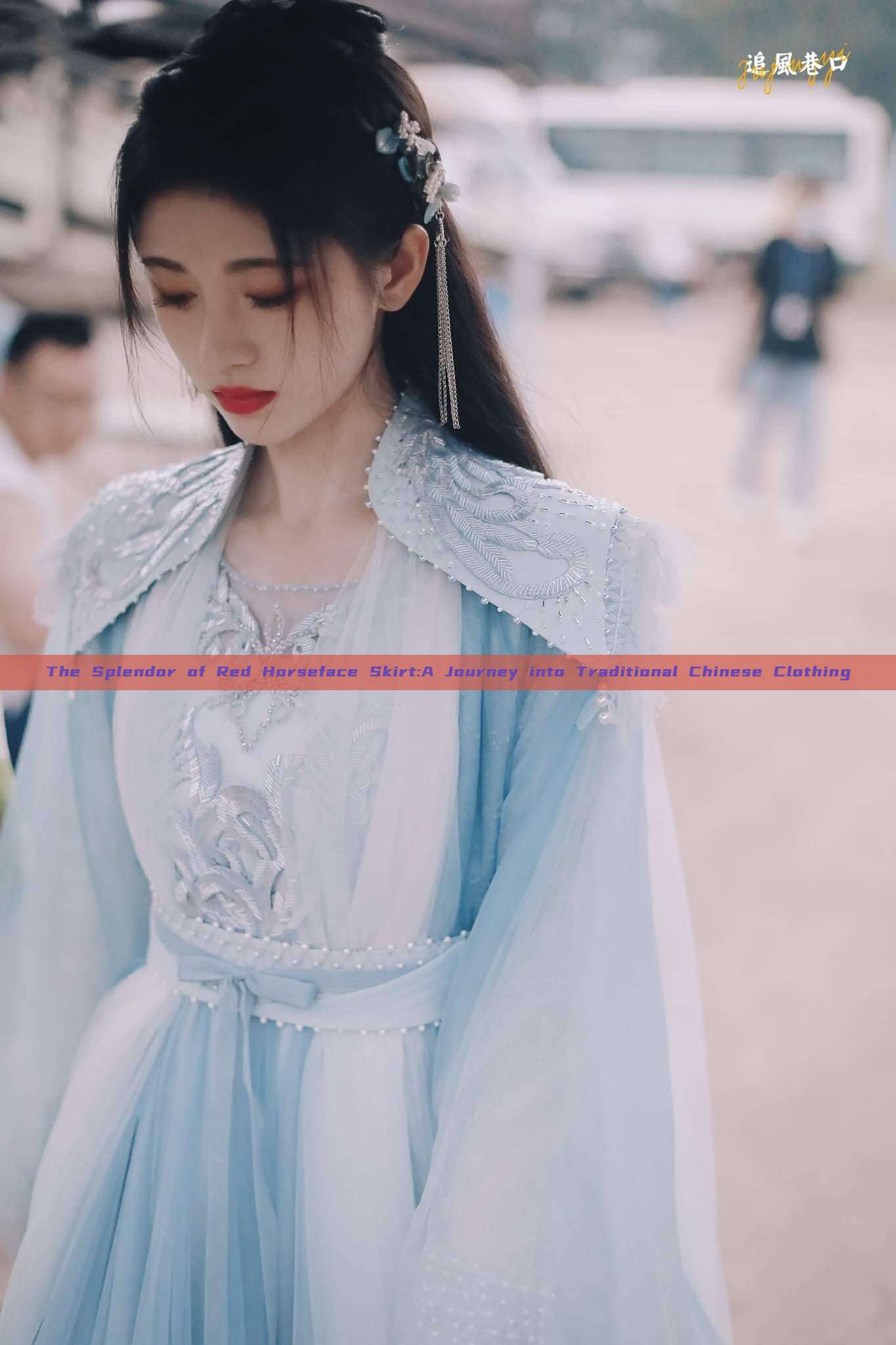 The Splendor of Red Horseface Skirt:A Journey into Traditional Chinese Clothing The Splendor of Red Horseface Skirt:A Journey into Traditional Chinese Clothing