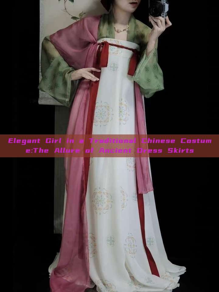 Elegant Girl in a Traditional Chinese Costume:The Allure of Ancient Dress Skirts Elegant Girl in a Traditional Chinese Costume:The Allure of Ancient Dress Skirts
