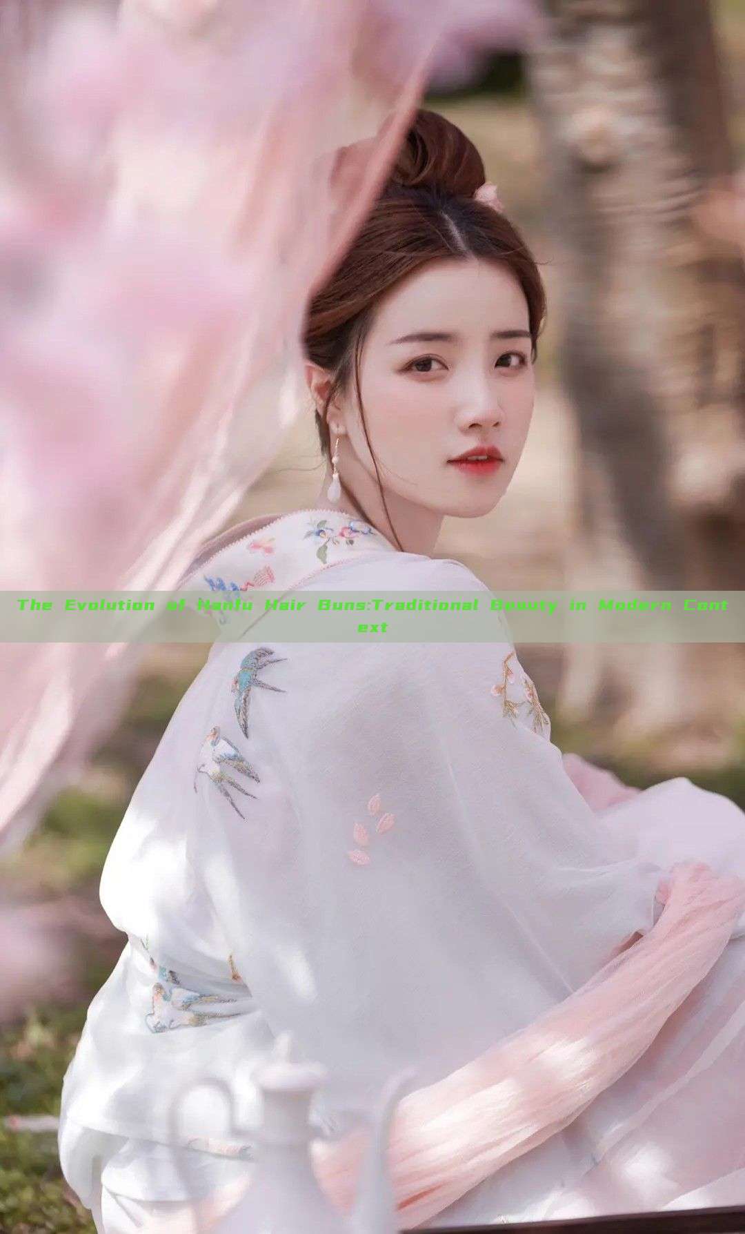 The Evolution of Hanfu Hair Buns:Traditional Beauty in Modern Context The Evolution of Hanfu Hair Buns:Traditional Beauty in Modern Context