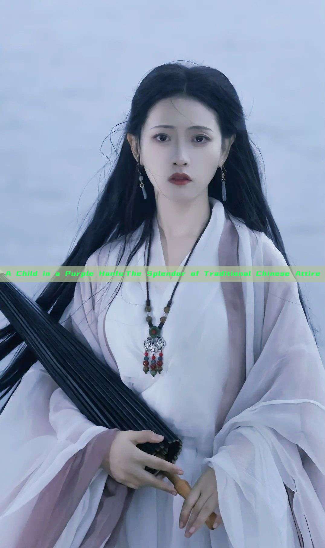 A Child in a Purple Hanfu:The Splendor of Traditional Chinese Attire A Child in a Purple Hanfu:The Splendor of Traditional Chinese Attire