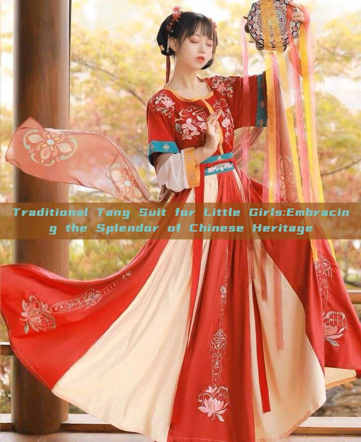 Traditional Tang Suit for Little Girls:Embracing the Splendor of Chinese Heritage Traditional Tang Suit for Little Girls:Embracing the Splendor of Chinese Heritage