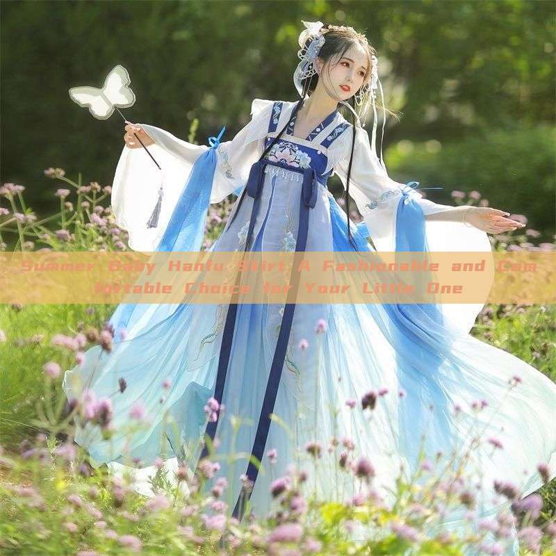 Summer Baby Hanfu Skirt A Fashionable and Comfortable Choice for Your Little One Summer Baby Hanfu Skirt A Fashionable and Comfortable Choice for Your Little One