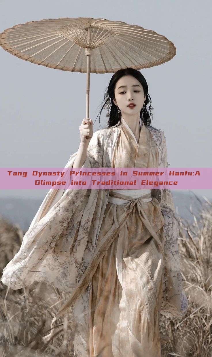 Tang Dynasty Princesses in Summer Hanfu:A Glimpse into Traditional Elegance Tang Dynasty Princesses in Summer Hanfu:A Glimpse into Traditional Elegance